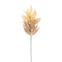 Astilbe cm 65