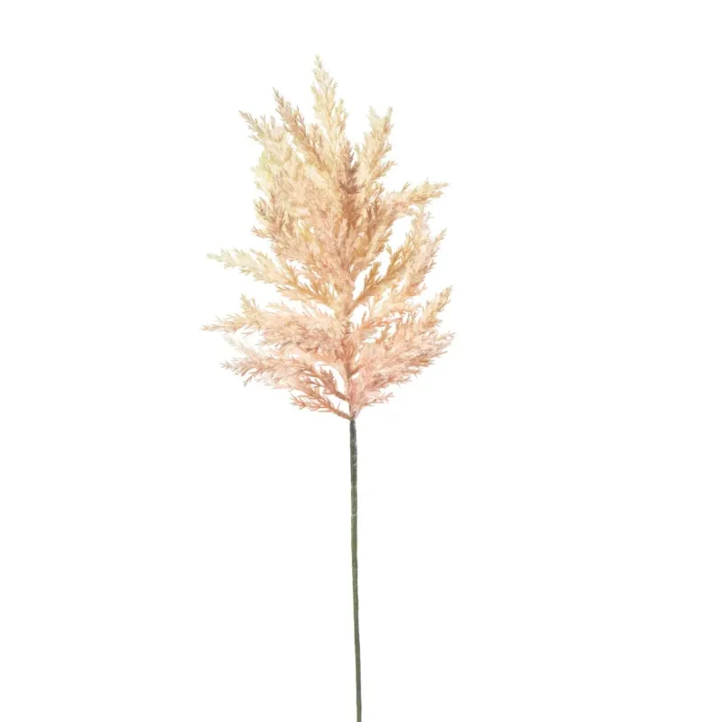 Astilbe cm 65