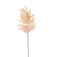 Astilbe cm 65