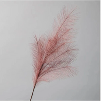 Ramo Pampas Vari Colori e Altezze