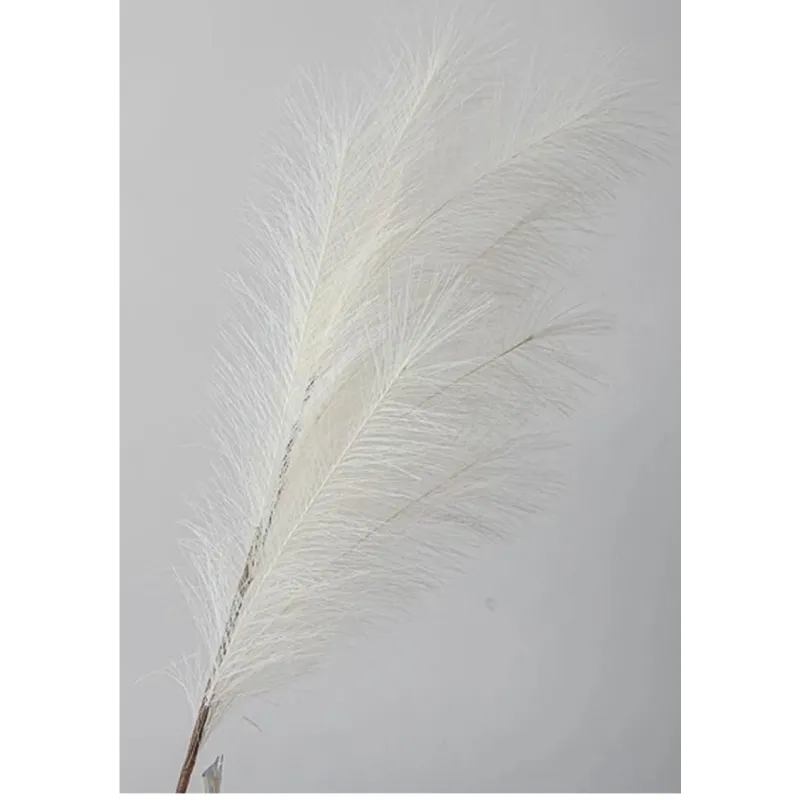 Ramo Pampas Vari Colori e Altezze