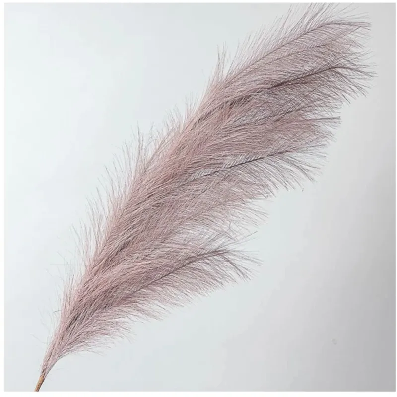 Ramo Pampas Vari Colori e Altezze