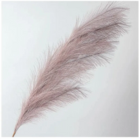 Ramo Pampas Vari Colori e Altezze