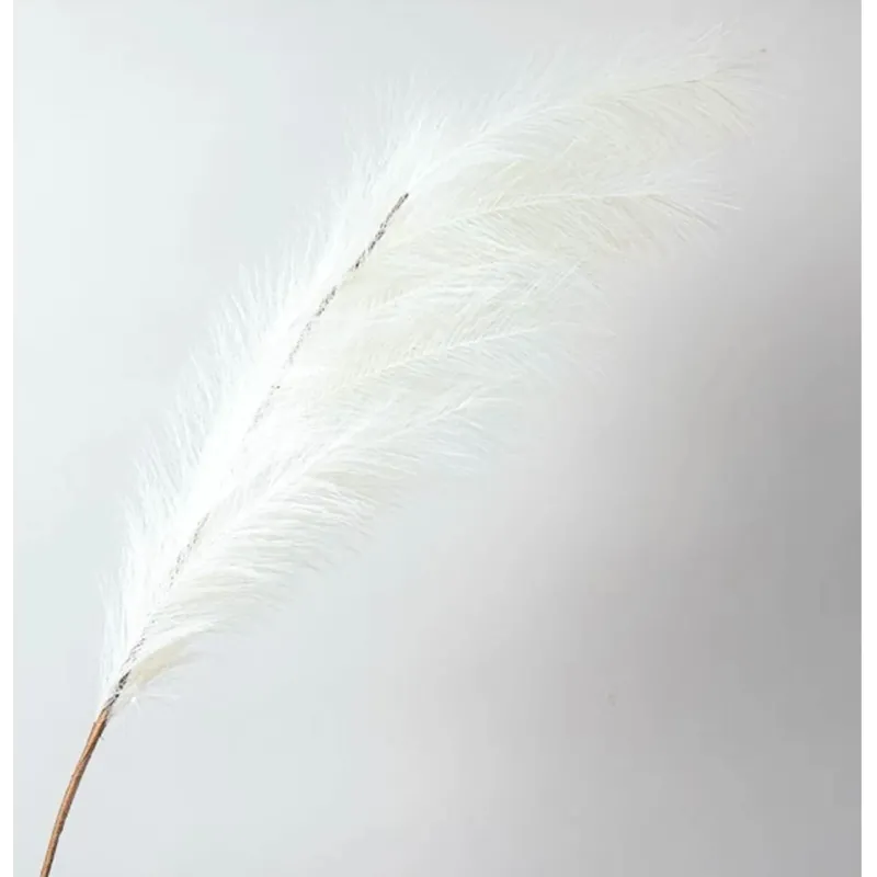 Ramo Pampas Vari Colori e Altezze