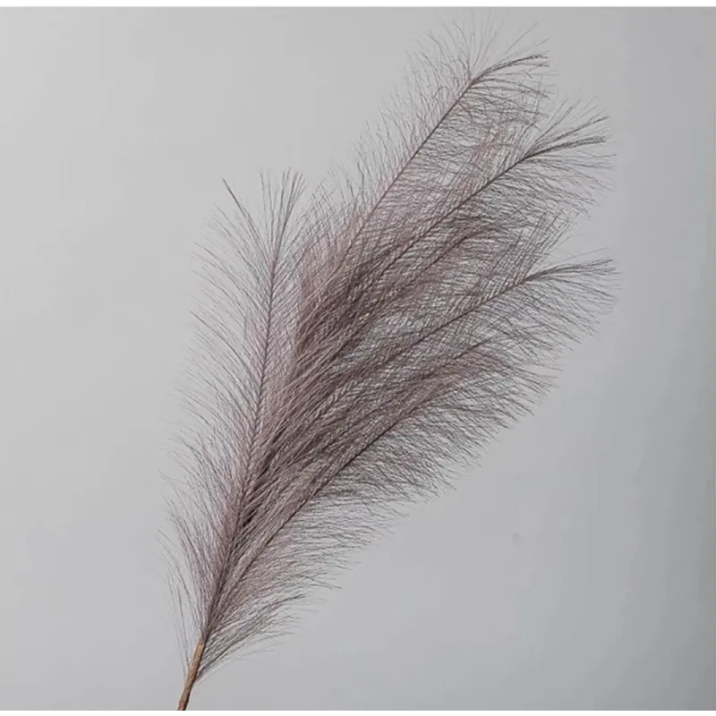 Ramo Pampas Vari Colori e Altezze