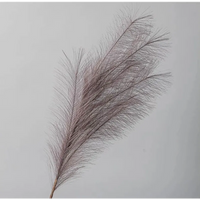 Ramo Pampas Vari Colori e Altezze