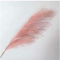 Ramo Pampas Vari Colori e Altezze
