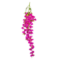 Bouganvillea Cascante Cm 135 h