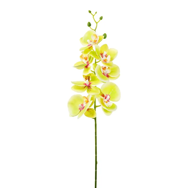 Tralcio Foglie cm 90 Vari Colori, ideale per decorazioni ed allestimenti