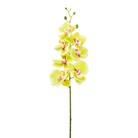 Tralcio Foglie cm 90 Vari Colori, ideale per decorazioni ed allestimenti