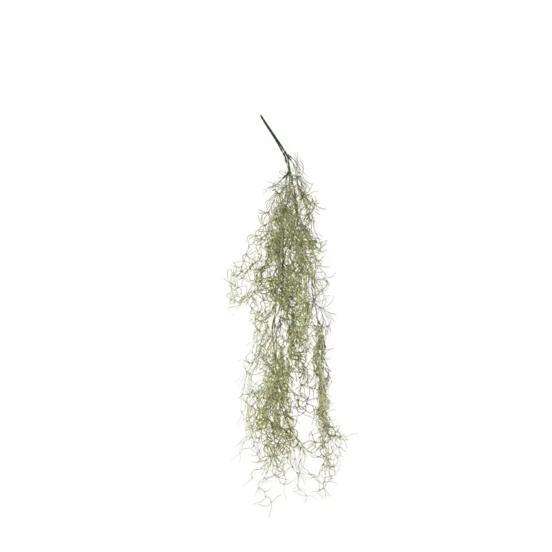 Ramo Tillandsia Cascante Varie Altezze, ideale per decorazioni ed allestimenti