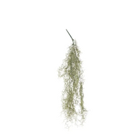Ramo Tillandsia Cascante Varie Altezze, ideale per decorazioni ed allestimenti