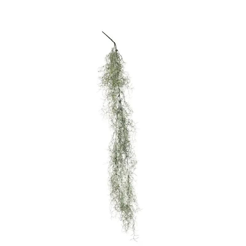 Ramo Tillandsia Cascante Varie Altezze, ideale per decorazioni ed allestimenti