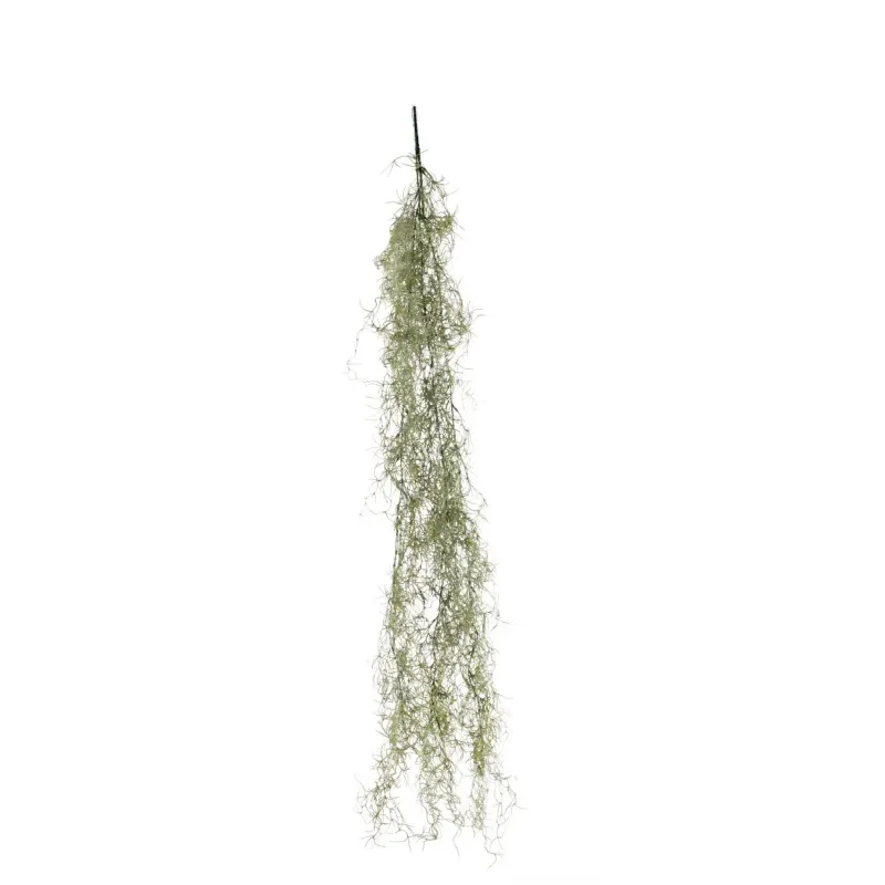 Ramo Tillandsia Cascante Varie Altezze, ideale per decorazioni ed allestimenti
