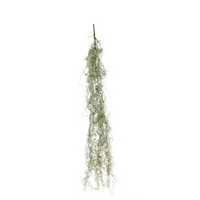 Ramo Tillandsia Cascante Varie Altezze, ideale per decorazioni ed allestimenti