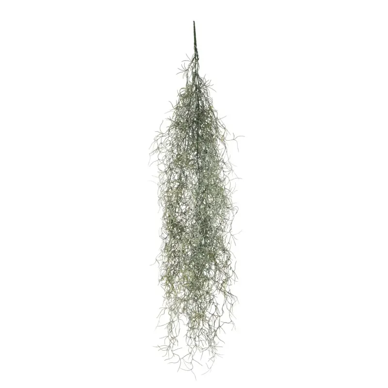 Ramo Tillandsia Cascante Varie Altezze, ideale per decorazioni ed allestimenti