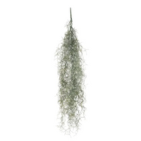 Ramo Tillandsia Cascante Varie Altezze, ideale per decorazioni ed allestimenti
