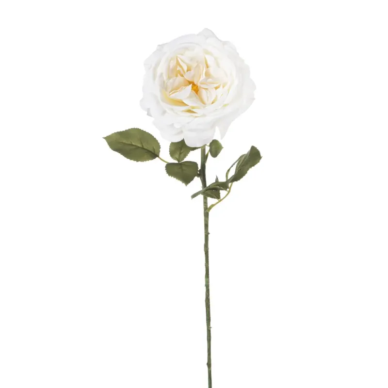 Rosa Fanny h 67 cm Vari Colori, ideale per decorazioni ed allestimenti