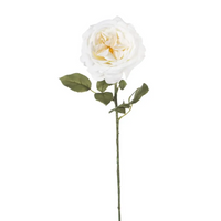 Rosa Fanny h 67 cm Vari Colori, ideale per decorazioni ed allestimenti