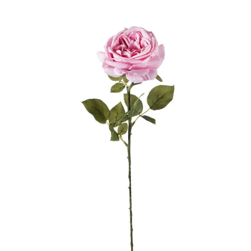 Rosa Fanny h 67 cm Vari Colori, ideale per decorazioni ed allestimenti