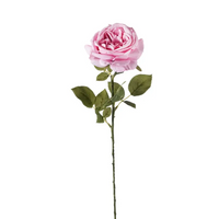 Rosa Fanny h 67 cm Vari Colori, ideale per decorazioni ed allestimenti