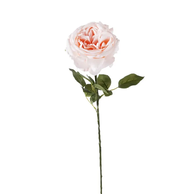 Rosa Fanny h 67 cm Vari Colori, ideale per decorazioni ed allestimenti