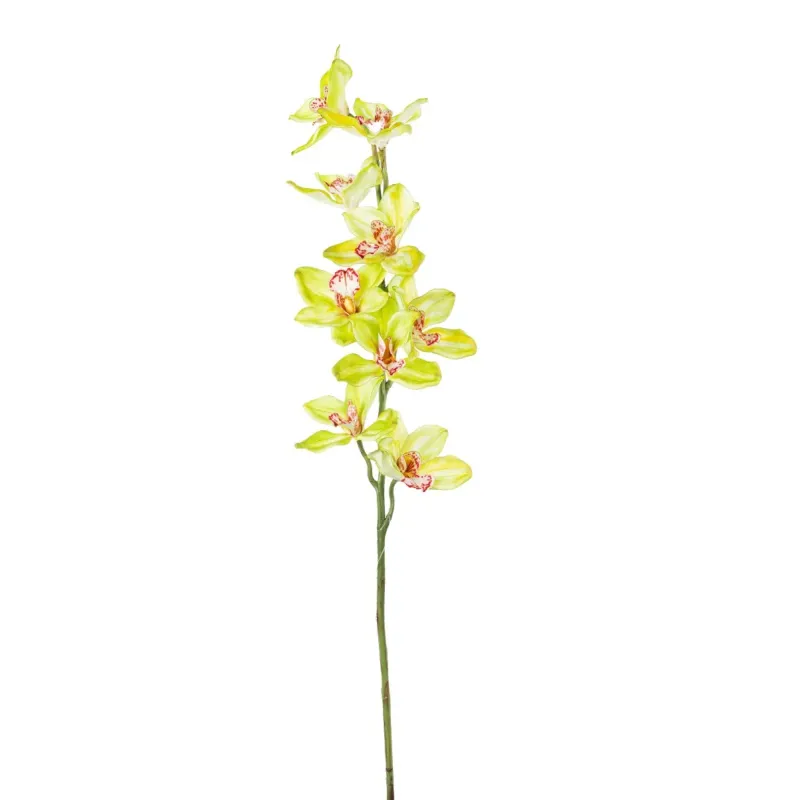 Cymbidium h 94 cm Vari Colori, ideale per decorazioni ed allestimenti