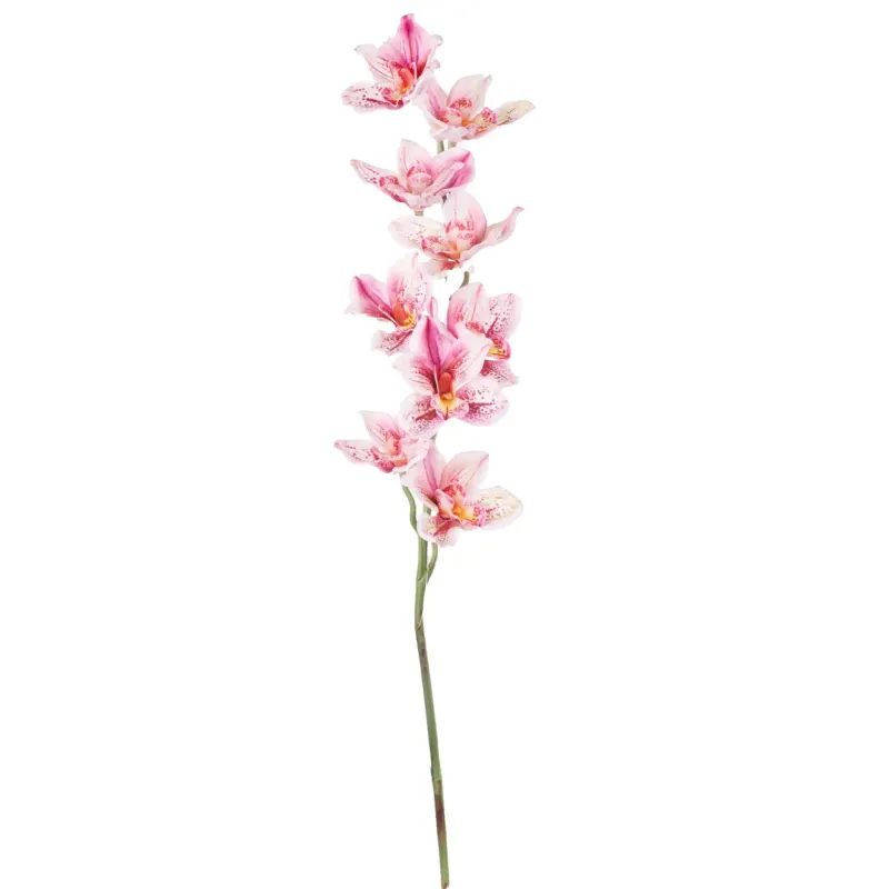 Cymbidium h 94 cm Vari Colori, ideale per decorazioni ed allestimenti