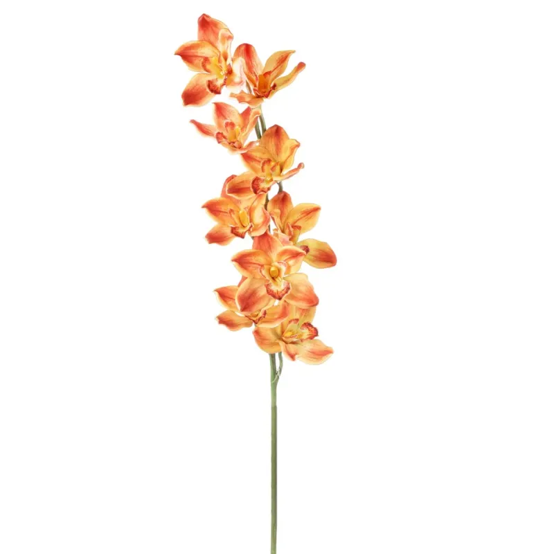 Cymbidium h 94 cm Vari Colori, ideale per decorazioni ed allestimenti