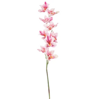 Cymbidium h 94 cm Vari Colori, ideale per decorazioni ed allestimenti