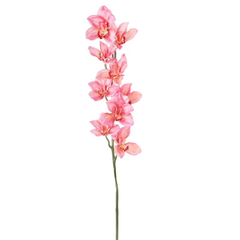 Cymbidium h 94 cm Vari Colori, ideale per decorazioni ed allestimenti