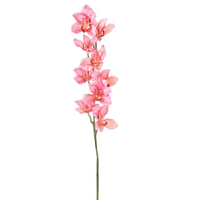 Cymbidium h 94 cm Vari Colori, ideale per decorazioni ed allestimenti