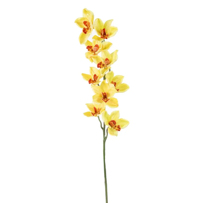 Cymbidium h 94 cm Vari Colori, ideale per decorazioni ed allestimenti