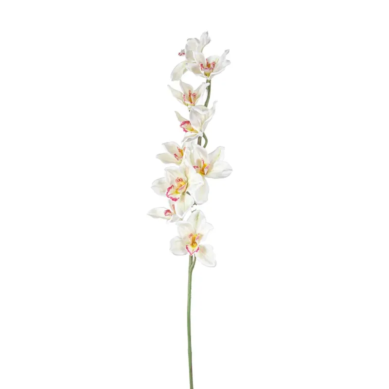 Cymbidium h 94 cm Vari Colori, ideale per decorazioni ed allestimenti