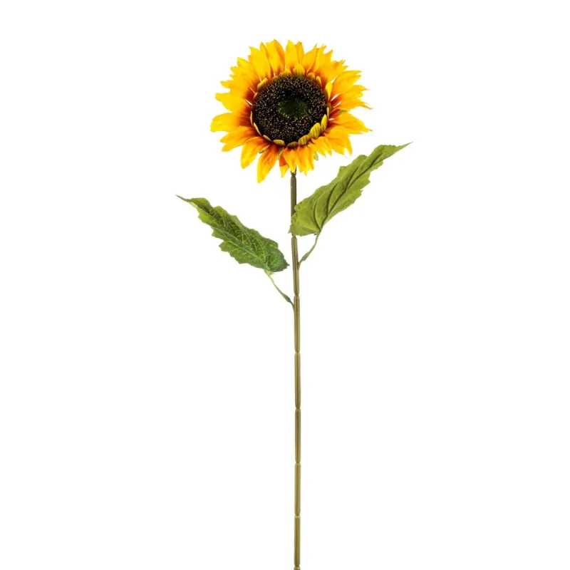 Girasole Singolo cm 64 