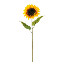 Girasole Singolo cm 64 