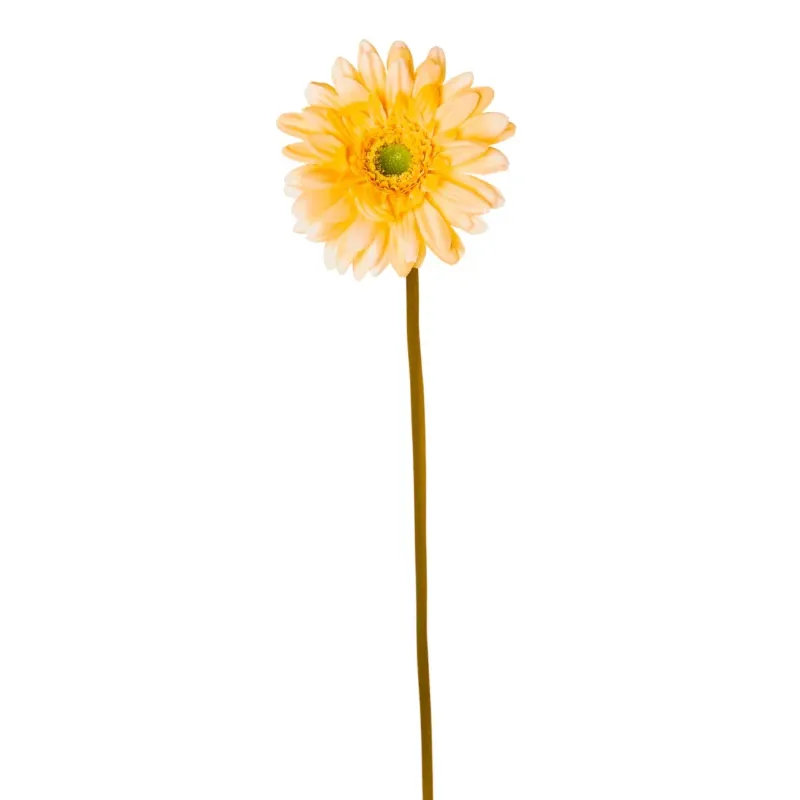 Gerbera Singola cm.60 in 4 Colori, ideale per decorazioni ed allestimenti