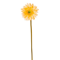 Gerbera Singola cm.60 in 4 Colori, ideale per decorazioni ed allestimenti