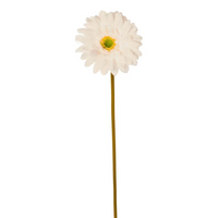 Gerbera Singola cm.60 in 4 Colori, ideale per decorazioni ed allestimenti