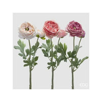 Ranuncolo Royal EDG in Tre Variazioni di Rosa Assortito cm. 45 ore