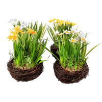 Nido con Narcisi cm 25 Colori Assortiti