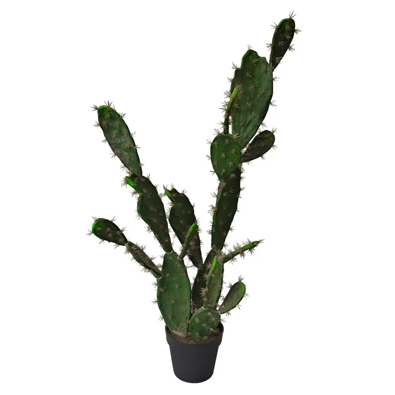 Cactus con Vaso cm 113