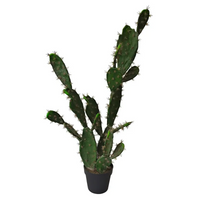Cactus con Vaso cm 113