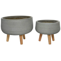 Vaso Liam Tortora con Piedi Varie Misure