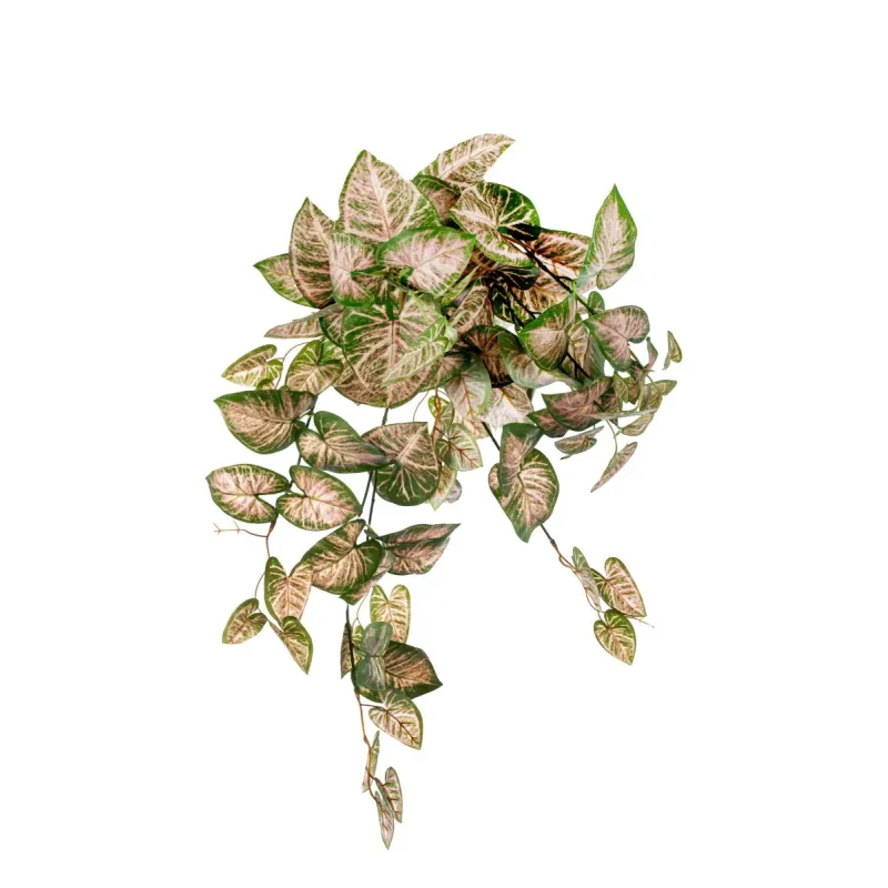 Cascante Caladium cm 60