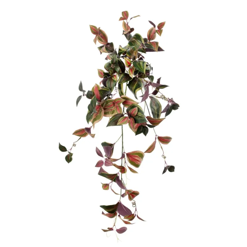 Tradescantia Cadente cm 90
