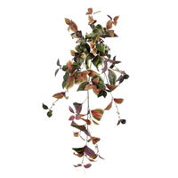 Tradescantia Cadente cm 90