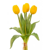Tulipani Natural Touch Vari Colori