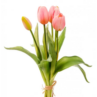 Tulipani Natural Touch Vari Colori