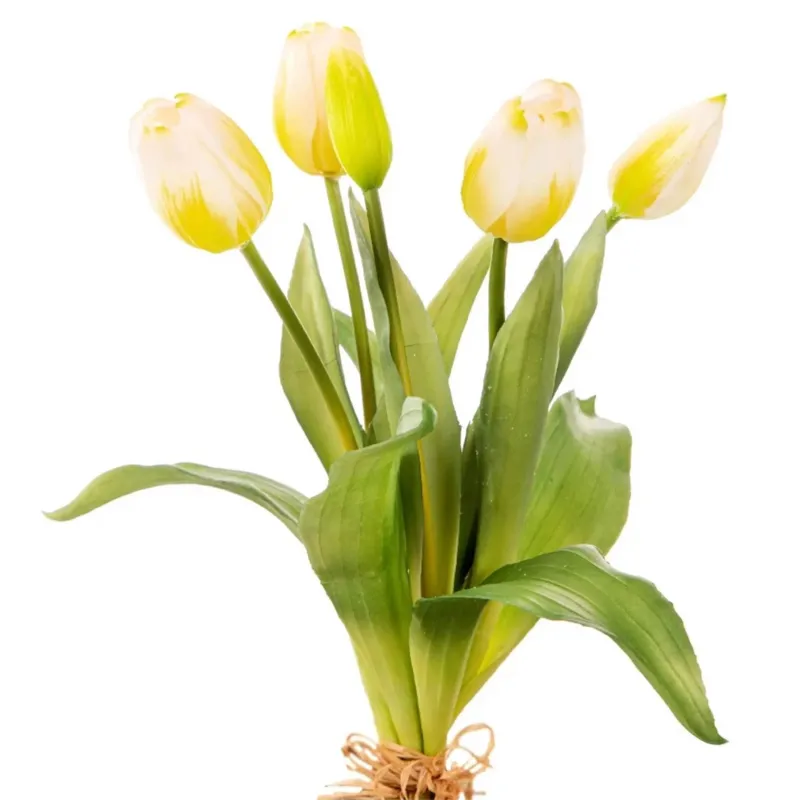 Tulipani Natural Touch Vari Colori